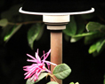 Lighting Products